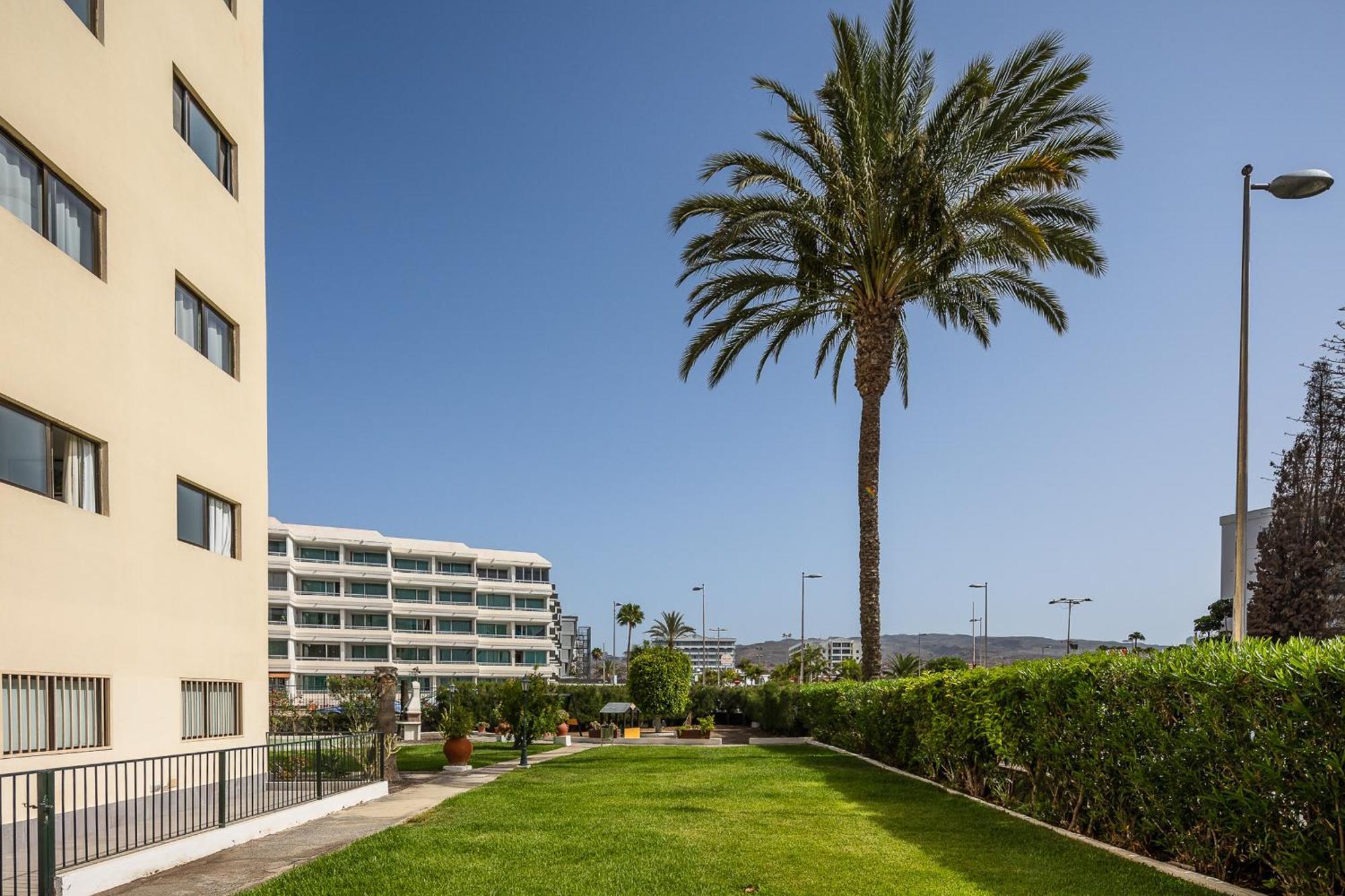 Los Ficus Playa del Ingles  Exterior photo